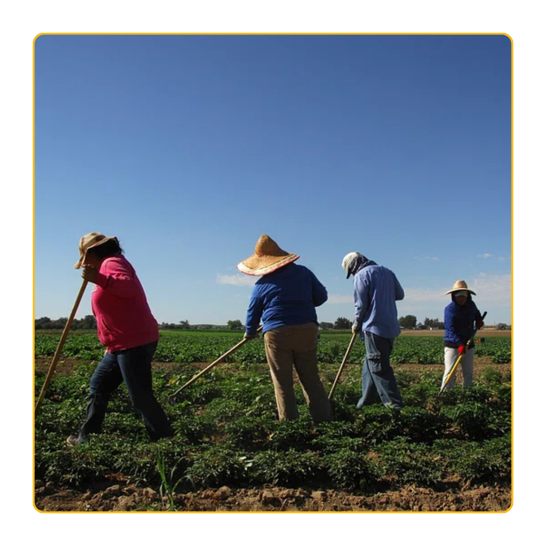 Farmworker Presentation Graphic