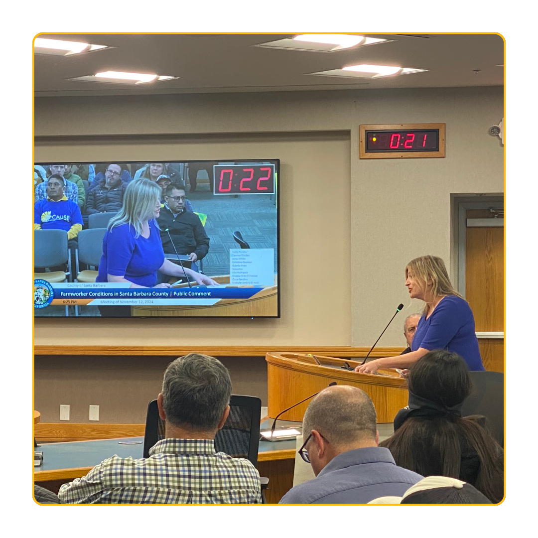 Carmen Rhodes Public Comment Graphic